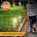 LowVoltz Solar 6 Pack Stainless Steel Solar LED Path Lights. Outdoor Solar Pathway Lights Garden, Yard Walkway. Modern Design, Solar Path Landscape Lighting, Longest Charge (Stainless Steel Square)