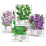 Seed Needs, Non-GMO Mint Seed Collection (Includes 3,500 Seeds Collectively) Spearmint, Pennyroyal Mint, Peppermint & Lemon Mint