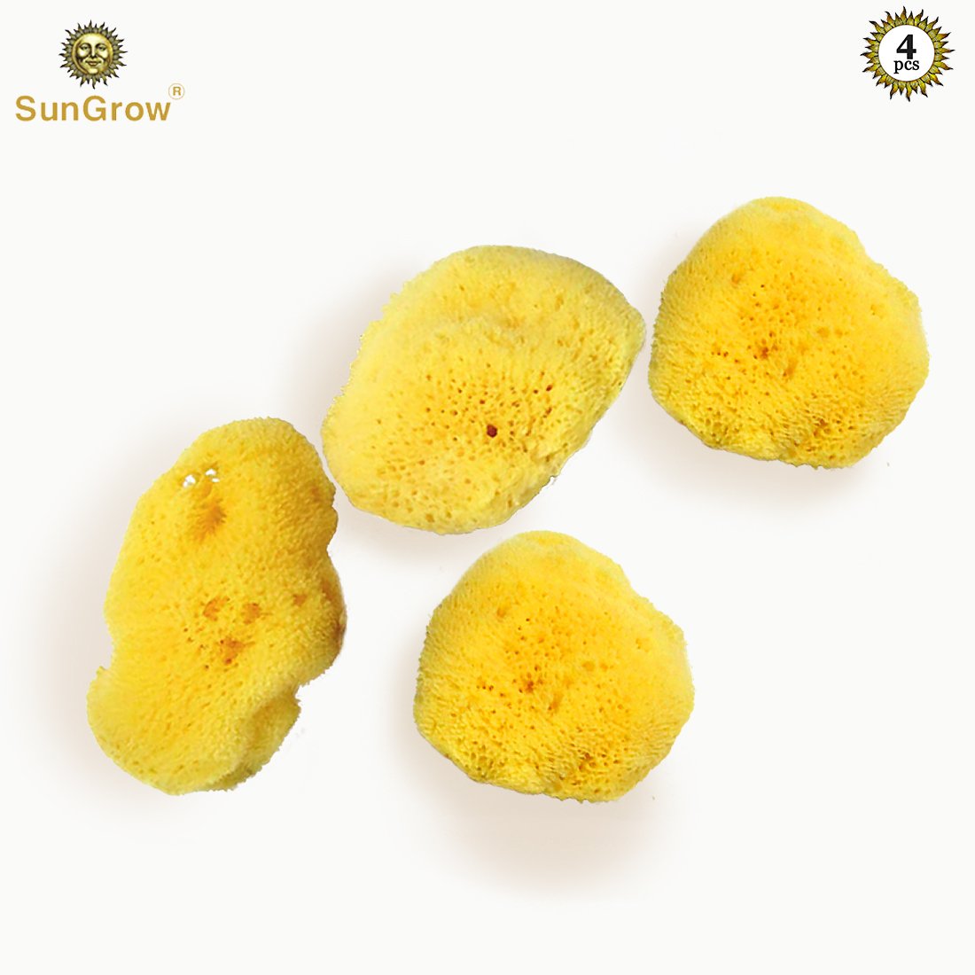 4-Pack Sea Sponges for Hermit Crabs --- Moisture Cocoon that keeps crabs Moist and Hydrated - Prevents Accidental Drowning and Suffocation - 100% All Natural and Safe