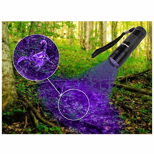 morpilot UV 12 Led Ultraviolet Blacklight Stain & Urine Detector Torch