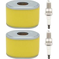 Filtro De Aire Para Honda Gx160 Gx200 Gx140 Gx100 Gx110 Gx12 | Meses