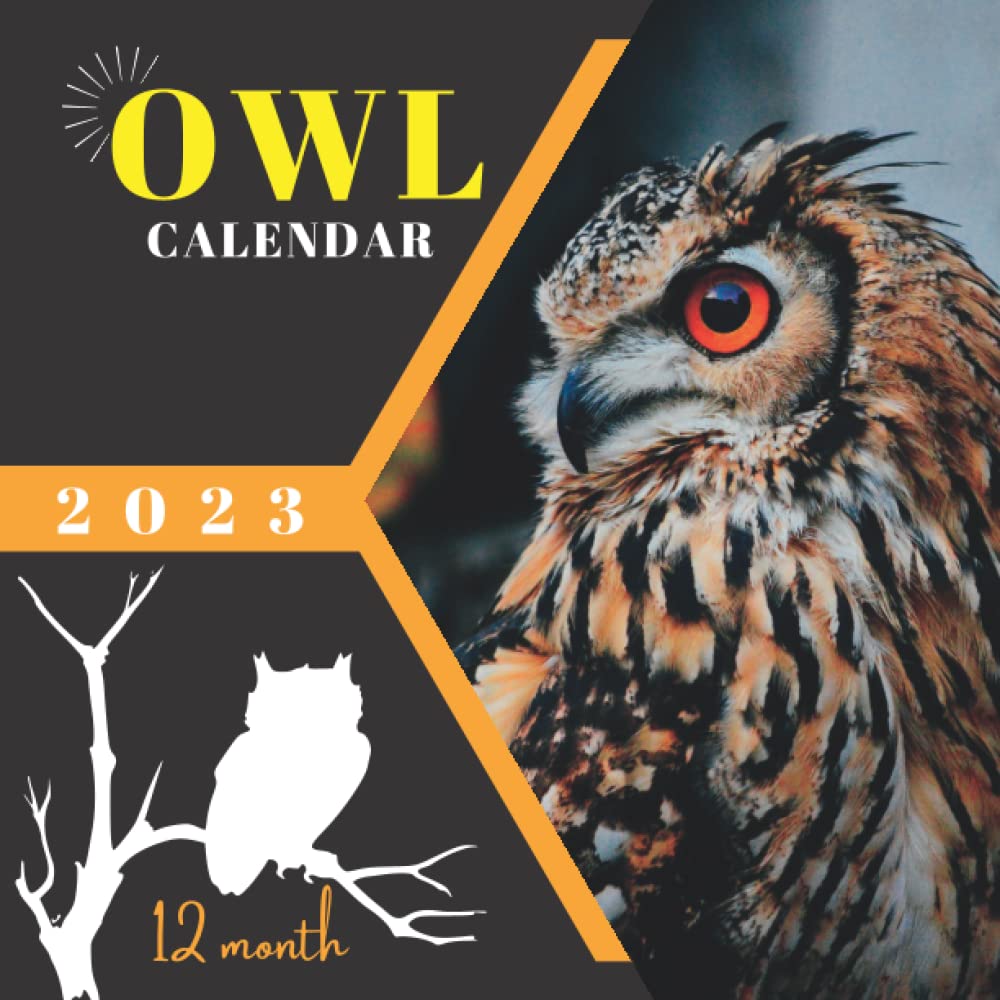 Owl Calendar 2023 Enqbwdduocauim