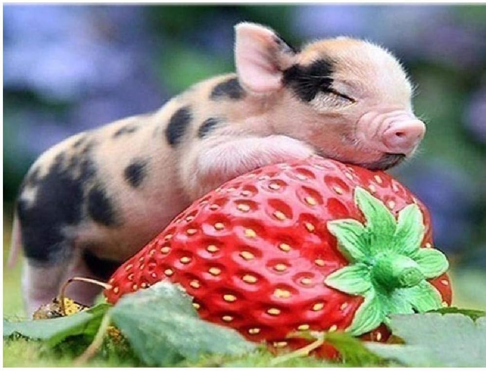 Gagalam Peinture Par Numero Adulte Peinture A Lhuile De Chevreuil Riverside Peinture De Decoration 40x50cm Loisirs Creatifs Jeux Et Jouets Lawawarenesssociety In