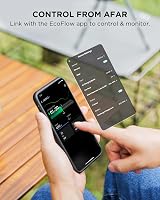 EF ECOFLOW Delta 2 and 220W Solar Panel Bundle 1-3kWh Expandable view 8
