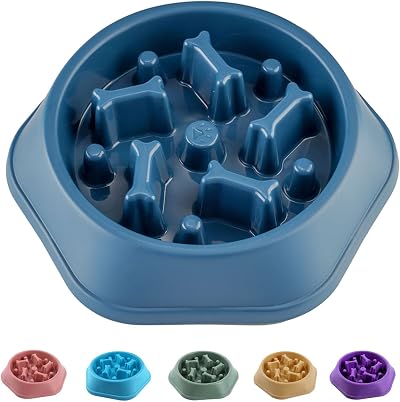 CAISHOW Slow Feeder Dog Bowl Small Medium Dogs Non-Slip Safe Material