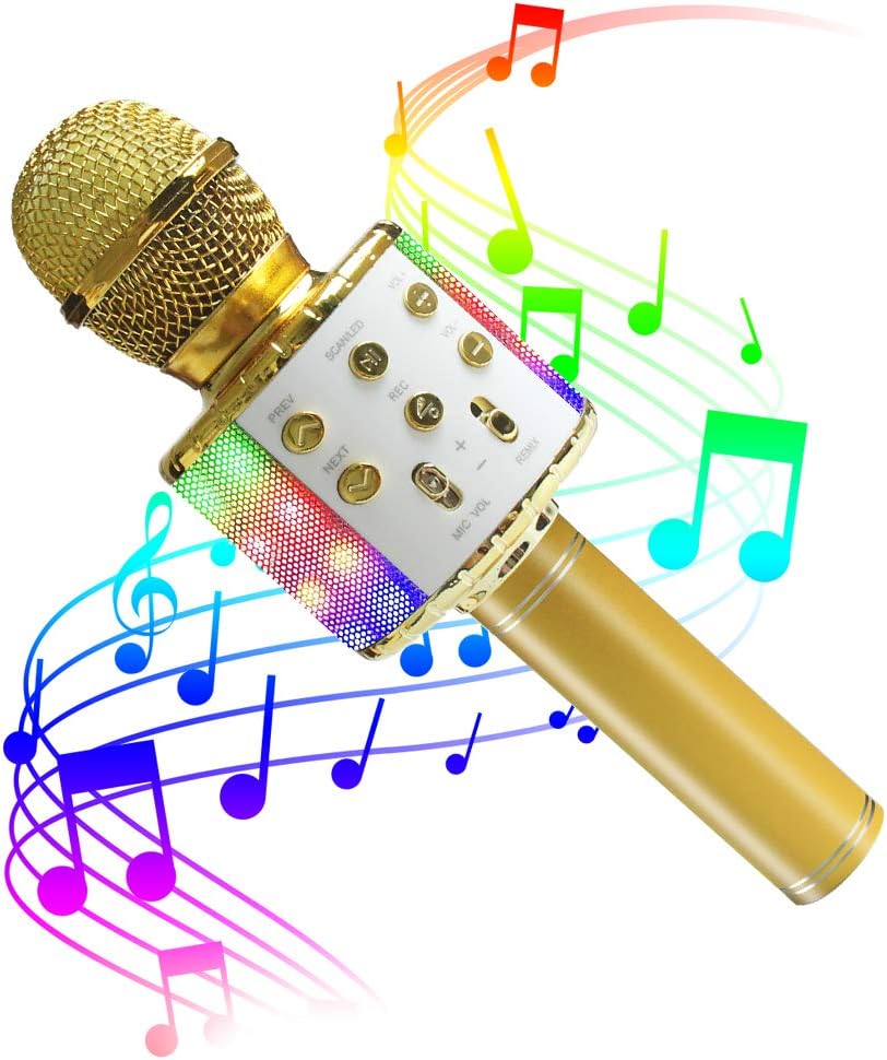 wireless karaoke mic and led speaker