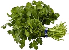 Cilantro, 1 Each