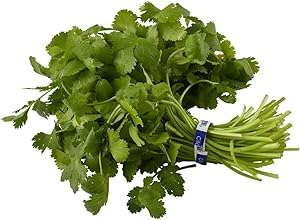 Cilantro, 1 Each