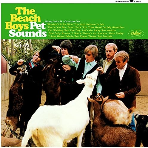 Amazon.com: Pet Sounds (50th Anniversary Edition)[Deluxe 2 CD