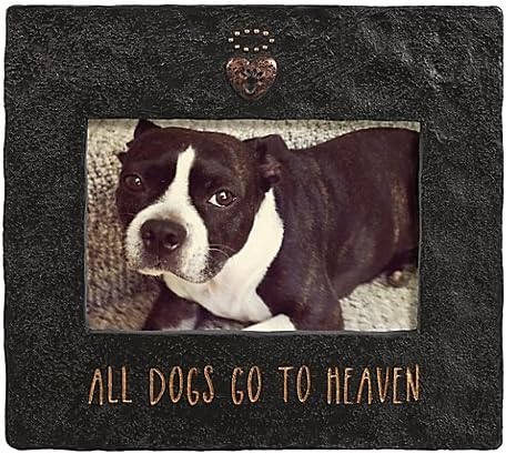Picture Frame Timeless Look Ff Rough-Hewn Stone With Metallic Accents 4-Inch x 6-Inch in Black