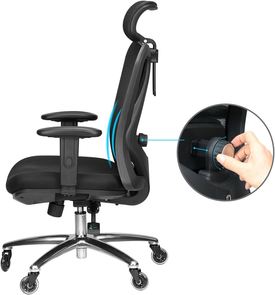 Duramont Ergonomic Adjustable Office Chair with Lumbar Support and Rollerblade Wheels - High Back with Breathable Mesh - Thick Seat Cushion - Adjustable Head & Arm Rests, Seat Height - Reclines: Office Products