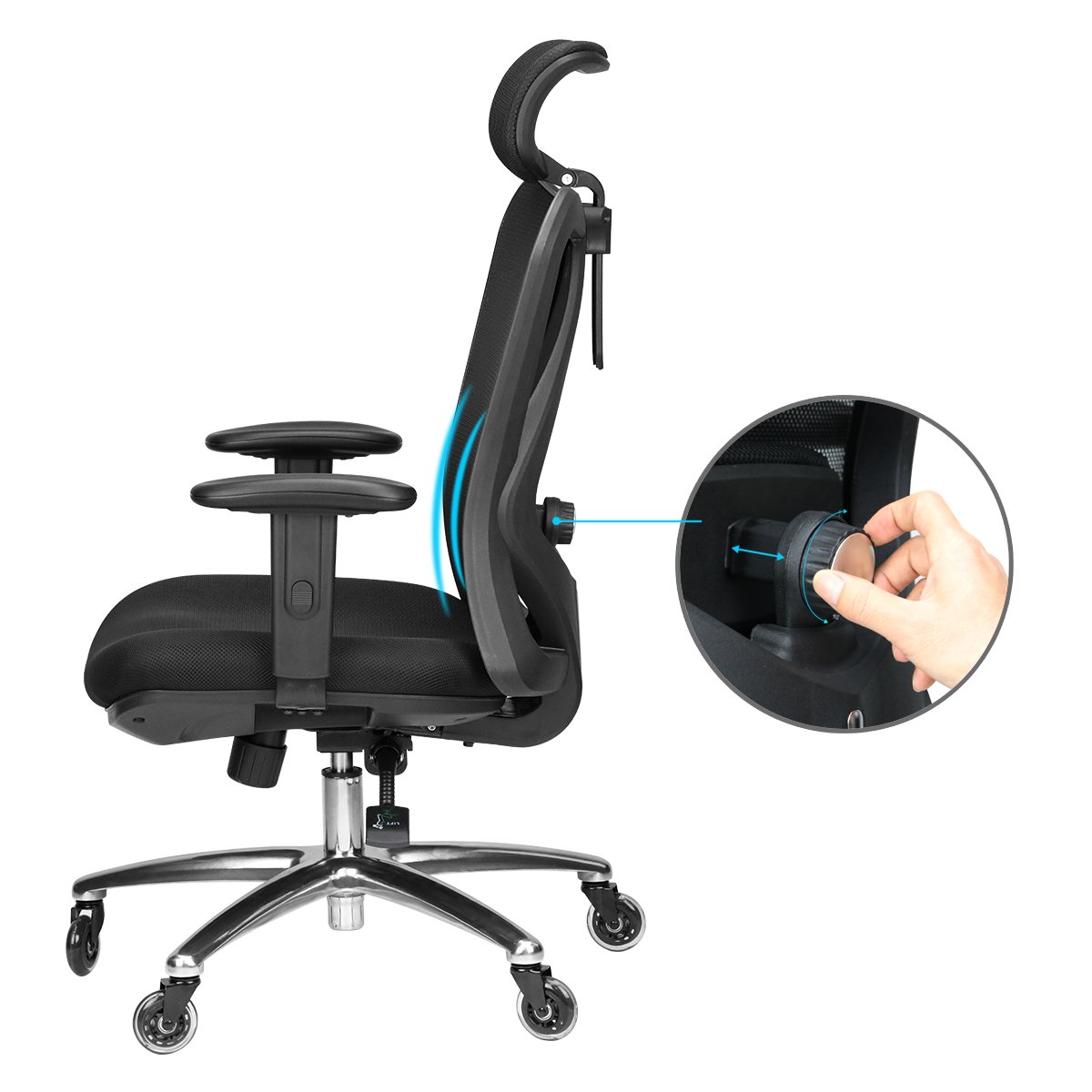 Duramont Ergonomic Adjustable Office Chair with Lumbar ...