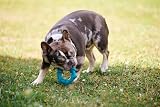 Petface Little Petface Rubber Ring Teething Chew Toy for Puppies view 9