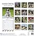 Australian Cattle Dog Calendar - Dog Breed Calendars - 2017 - 2018 wall Calendars - 16 Month by Avonside