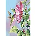 Dimensions Hibiscus Hummingbird Paint by Number for Adults, 14'' W x 11'' L