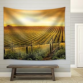 a Beautiful Sunset Over a Barossa Vineyard - Fabric Wall Tapestry Home Decor - 51x60 inches