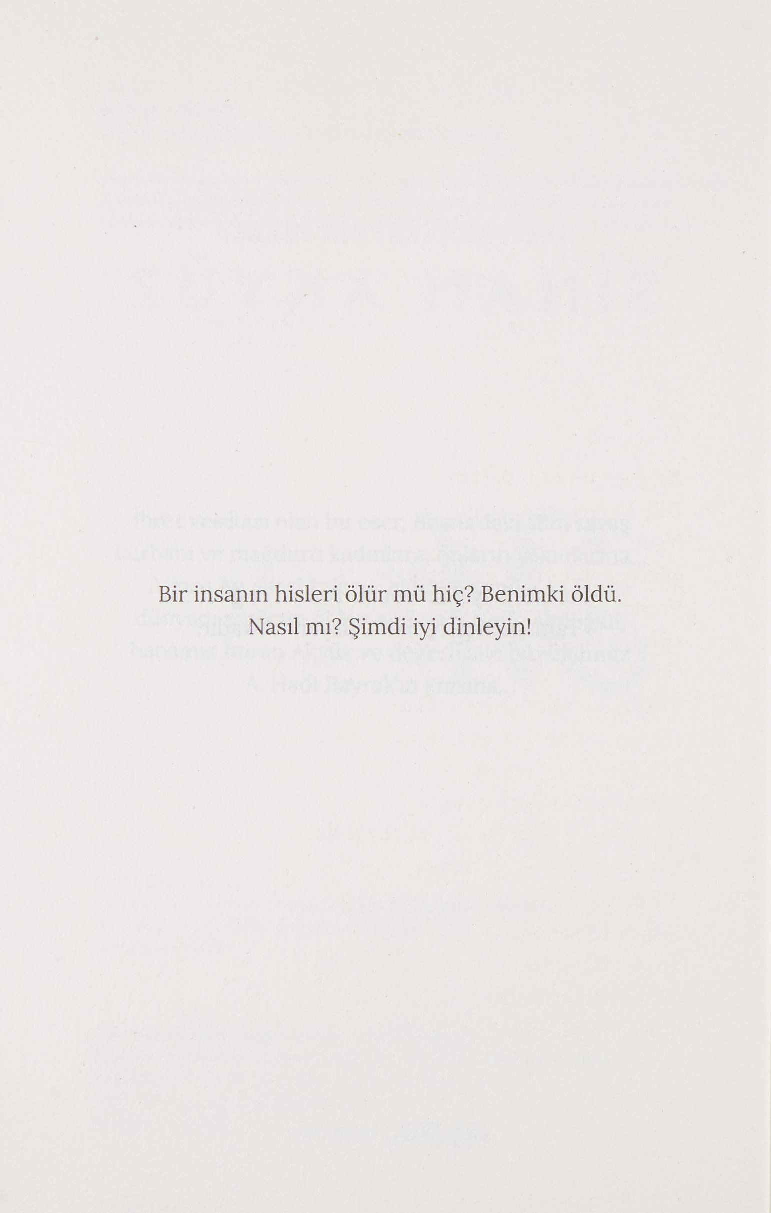 Meyra Bir Bosna Hikayesi Incir Kuslari Nin Yazari Sinan Akyuz Amazon Co Uk Sinan Akyuz 9786050381108 Books