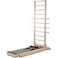 Balanced Body CoreAlign Pilates & Training Equipment