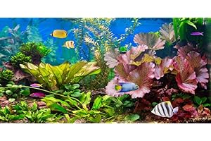 YongFoto Fish Tank Background 36x18 inch Aquarium Background Underwater World River Bed Sand Gravel Waterweeds Lake Aquatic Plant Backdrop Reptile Habitat Terrarium Background