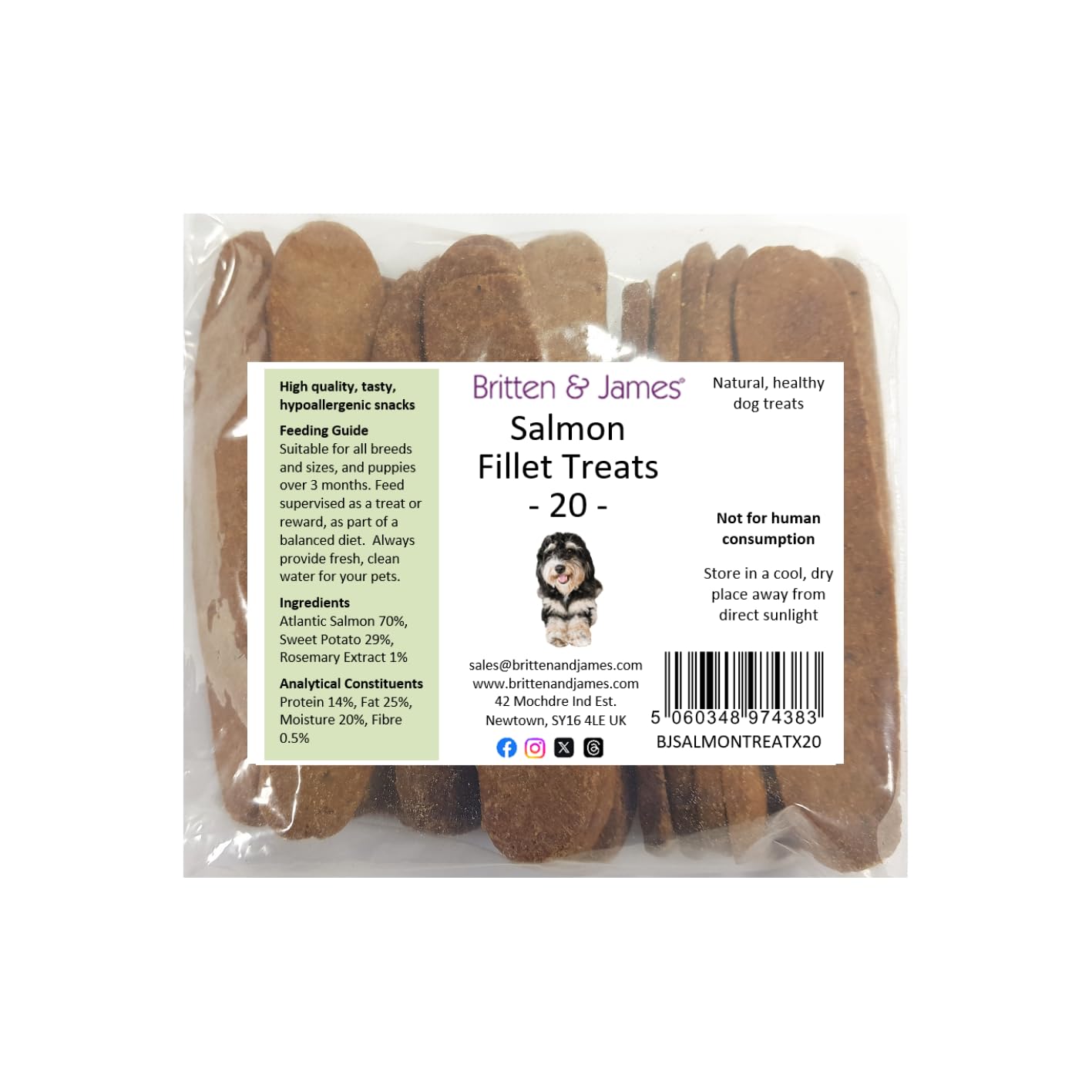 Salmon Fillet Strips for Dogs by Britten and James. A 100% Natural and Healthy Dog Treat and Reward - Grain Free, No Additives, Hypoallergenic (Pack of 20)