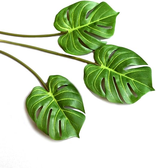 Download H9rsc58630curm HD Get Wallpaper H9rsc58630curm HD