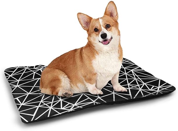 high quality pet supplies