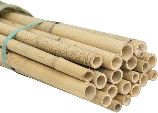 HYF Cañas de bambú para jardín, pack de 10 varillas de bambú de ...