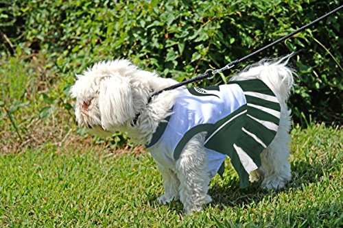 NCAA Michigan State Spartans Dog Cheerleader Outfit, Small