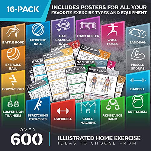 16-Pack Laminated Large Workout Poster Set - Perfect Workout Posters ...