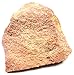EISCO Red Sandstone Specimen (Sedimentary Rock), Approx. 1