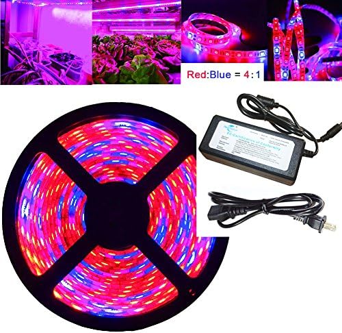 OUEVA 16.4ft/5M Plant Light Strip 5050 Waterproof Grow Light Full Spectrum Rope lights for Aquarium Greenhouse Hydroponic Plant,Garden Flowers Veg Grow Light DC 12V (4:1 plant strip + power supply)