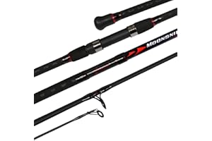 Fiblink Surf Spinning Fishing Rod 2-Piece/4-Piece Graphite Travel Fishing Rod