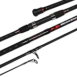 Fiblink Surf Spinning Fishing Rod 4-Piece Graphite