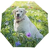 RPLIFE Kompakt-Regenschirm - Automatisch, Windfest & UV-Schutz (102 Cm Durchmesser)