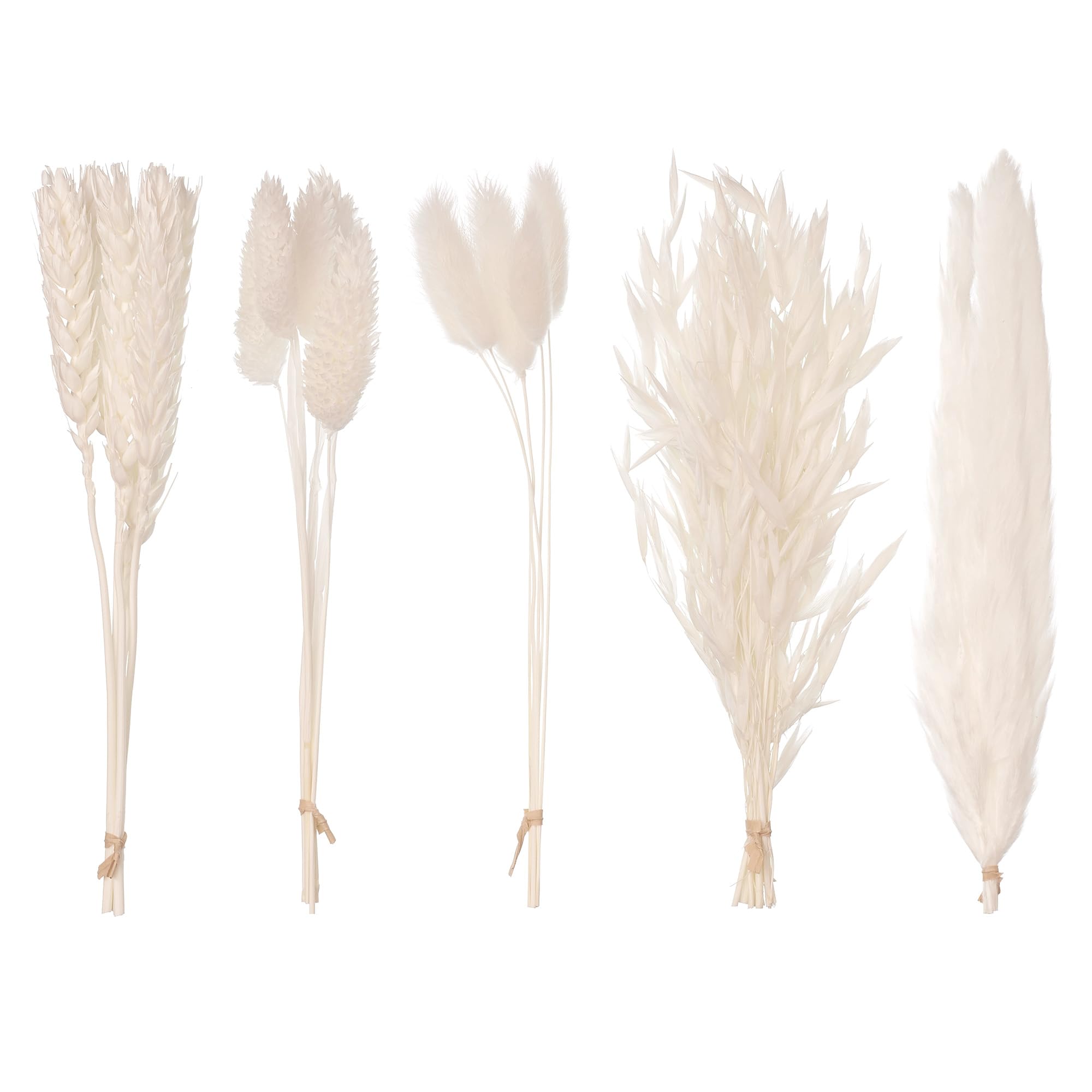 The Baked Studio – Original Dried Mixed Flower Cake Decoration Set | Pampas, Oats, Wheat, Lagurus Bunny Tails & Phalaris | Floral Cake Topper Arrangement for Cakes, Cupcakes & Craft Projects (White)
