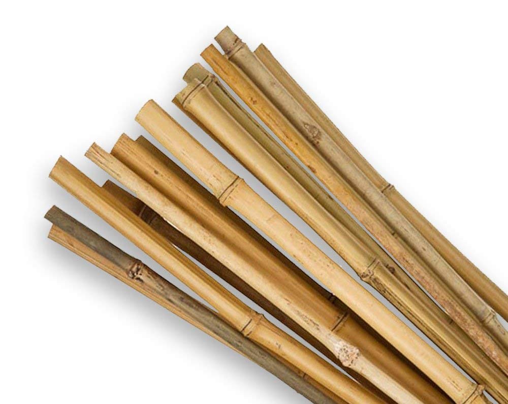 SupaGarden 2ft High Quality Extra Strong Bamboo Garden Canes Stakes Pack of 20