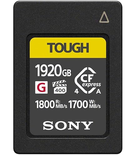 Amazon.com: Sony Tough Cfexpress Type B Memory Card 960GB Ceb