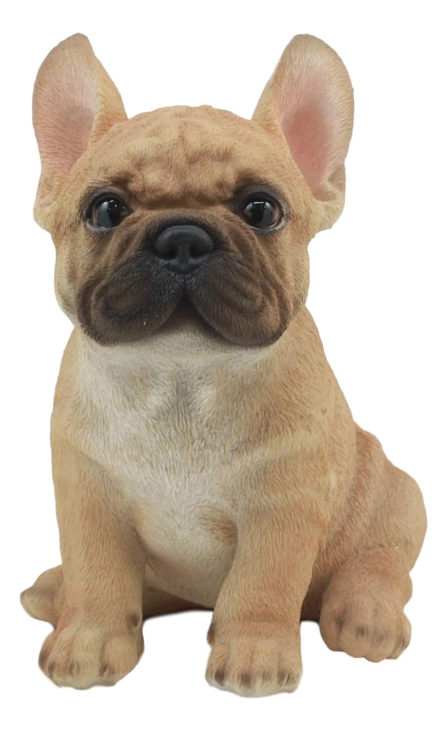 Best Home Decor With French Bulldog