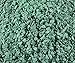 Malachite; Pure & Natural: by World of Wood- Crushed Inlay Stone Perfect for Wood Inlay, Jewelry, Art, and More (Medium Consistency) (1/2 oz)