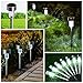 Stripsun LED Solar Garden Lights, [12 Pack] Stainless Steel Outdoor Solar Landscape Lights / Pathway Lights for Lawn, Yard, and Driveway