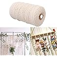 Macrame Cord, Soft Twisted Cotton Rope Biodegradable Cord for Wall Hanging, Plant Hangers, Crafts, Knitting, Decorative Projects (200m 2.5mm)