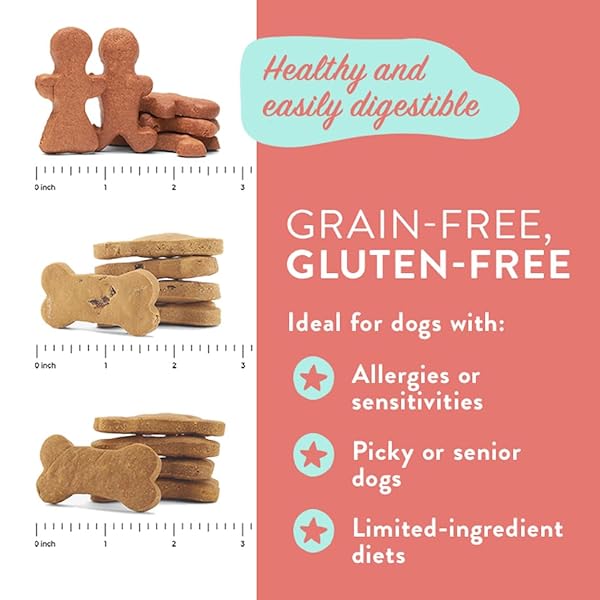 PORTLAND PET FOOD COMPANY PUMPKIN DOG TREATS HEALTHY BISCUITS FOR SMALL MEDIUM & LARGE DOGS – GRAIN-FREE, HUMAN-GRADE, ALL NATURAL COOKIES, SNACKS & PUPPY TRAINING TREATS – MADE IN THE USA – 5 OZ