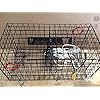 Maryland-Blue-crab-pot-trap-Chesapeake-Atlantic-blue-crab-PVC-coated-metal-Heavy-Duty