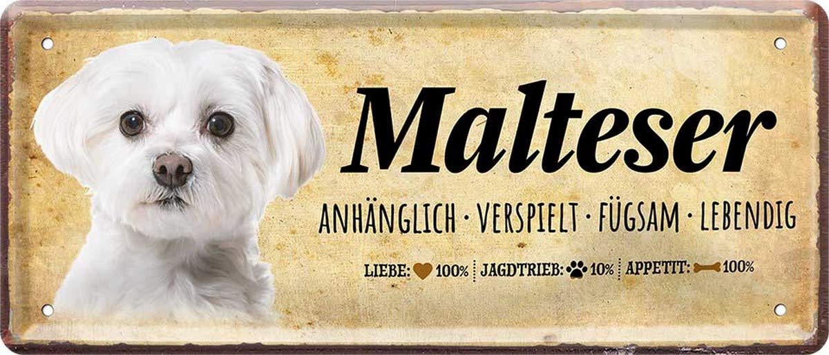 N / A Maltese Dog Letter 28 x 12 cm Decorative Tin Sign Tin 1478