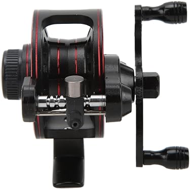 best fishing reels for fluke Fluke Fishing: Family Fun