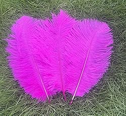 Lampu Ostrich Feathers 8-10 inch/20-25cm for
