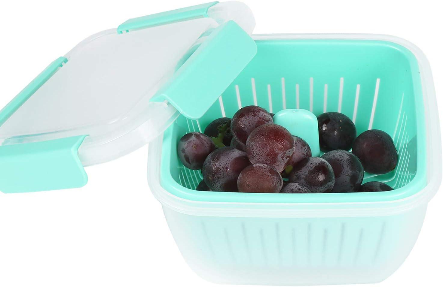 Shopwithgreen Berry Keeper Box Containers, Berry Boxes Keep Fresh