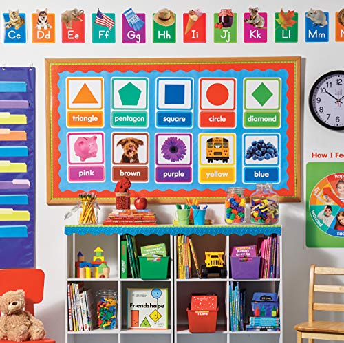 Colors & Shapes in Photos Bulletin Board