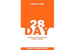 28-Day Substack Growth Challenge