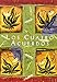 Los cuatro acuerdos: una guia practica para la libertad personal (Spanish Edition) by Don Miguel Ruiz, Luz Hernandez